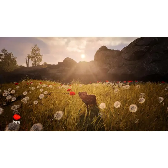 PlayStation 5 game case for Adorable Adventures showing Boris the baby boar sniffing a flower in a sunny forest