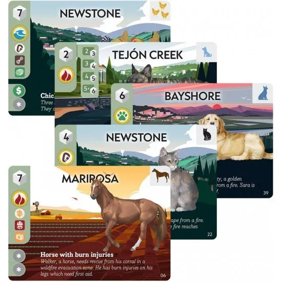 A colourful board game layout featuring a map board, custom wooden vehicle tokens, animal cards, and dice arranged for a cooperative rescue mission