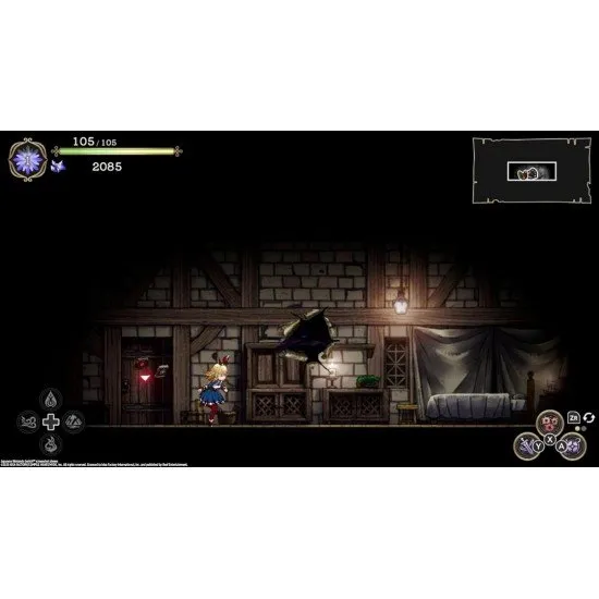 Ariana and the Elder Codex PS4 box art featuring Librarian Ariana with her magical book