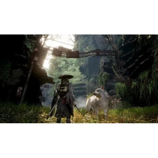 Emma and her dog Koo standing atop a ruined skyscraper overlooking a forest growing out of a wasteland