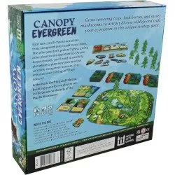 Canopy Evergreen