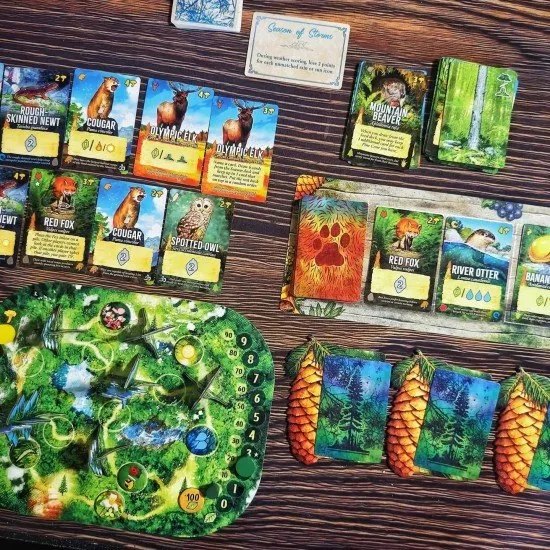 Canopy Evergreen board game box featuring lush Pacific Northwest forest artwork with trees and woodland creatures