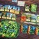 Canopy Evergreen board game box featuring lush Pacific Northwest forest artwork with trees and woodland creatures