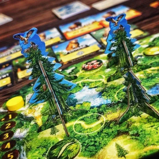 Canopy Evergreen board game box featuring lush Pacific Northwest forest artwork with trees and woodland creatures