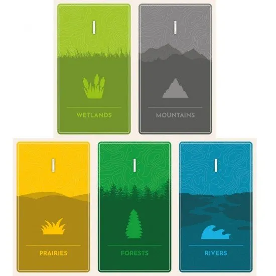 Illustrated habitat cards featuring salmon and bears alongside blue dice and landscape environment sheets