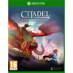 Citadel: Forged with Fire (Xbox One)