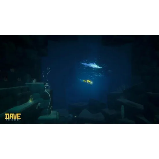 The Nintendo Switch 2 game case surrounded by physical bonus items like a necklace and pins