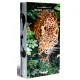 Earth Animal Kingdom expansion box featuring diverse wildlife animeeple artwork from golden eagles to pocket gophers in tableau ecosystem
