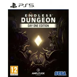 Endless Dungeon (PS5)