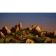 Final Fantasy Tactics: The Ivalice Chronicles (PS5) Final Fantasy Tactics: The Ivalice Chronicles (PS5)