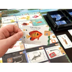 Finspan: Sharks & Reefs