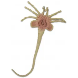 Alien Foam Prop Lifesize Face Hugger Alien Foam Prop Lifesize Face Hugger