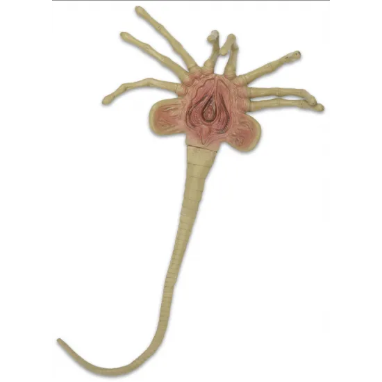 A detailed, lifelike foam prop replica of a Facehugger from the movie Aliens, posed as if ready to attack.