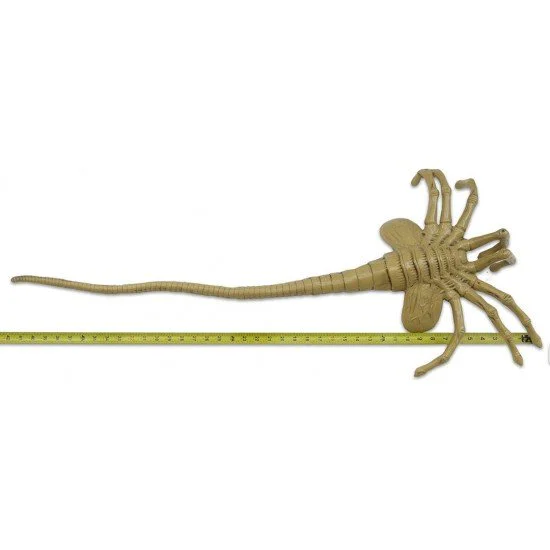 Alien Foam Prop Lifesize Face Hugger at Itemdrop