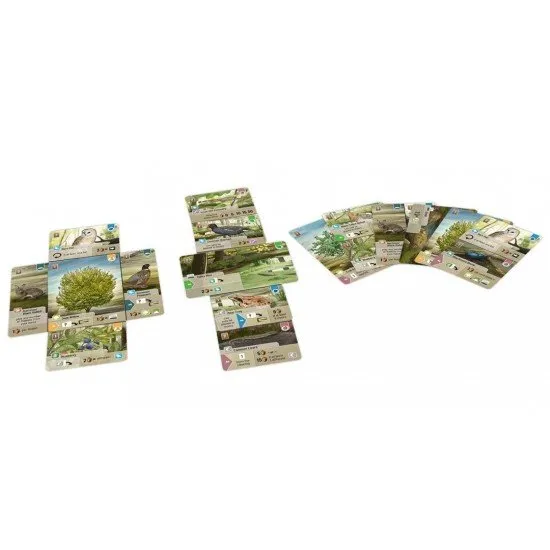Forest Shuffle: Dartmoor card game box art showing various animals and plants in a Dartmoor-inspired natural setting