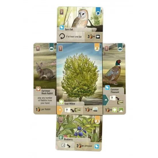 Forest Shuffle: Dartmoor card game box art showing various animals and plants in a Dartmoor-inspired natural setting