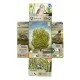 Forest Shuffle: Dartmoor card game box art showing various animals and plants in a Dartmoor-inspired natural setting
