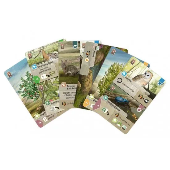 Forest Shuffle: Dartmoor card game box art showing various animals and plants in a Dartmoor-inspired natural setting