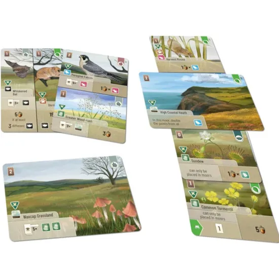 A card game expansion pack showing beautiful illustrations of unique deer, heather, and coastal birds from the Exmoor National Park