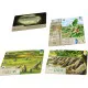 A card game expansion pack showing beautiful illustrations of unique deer, heather, and coastal birds from the Exmoor National Park