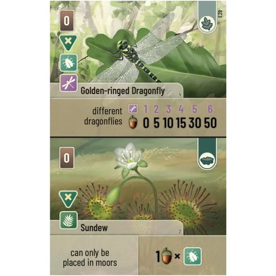A card game expansion pack showing beautiful illustrations of unique deer, heather, and coastal birds from the Exmoor National Park