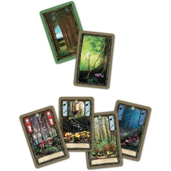 Fungi card game box art showing various colorful mushroom species in a woodland setting