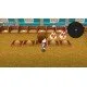 Harvest Moon: The Lost Valley & Skytree Village - Collector's Edition (Switch) Harvest Moon: The Lost Valley & Skytree Village - Collector's Edition (Switch)