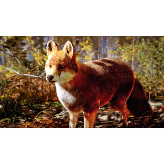 PlayStation 5 game case for Hunting Simulator 3 featuring a hunter and hunting dog in the open wilderness