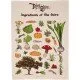 A cream-coloured tea towel featuring botanical illustrations of Shire herbs, fruits, and vegetables with artistic script