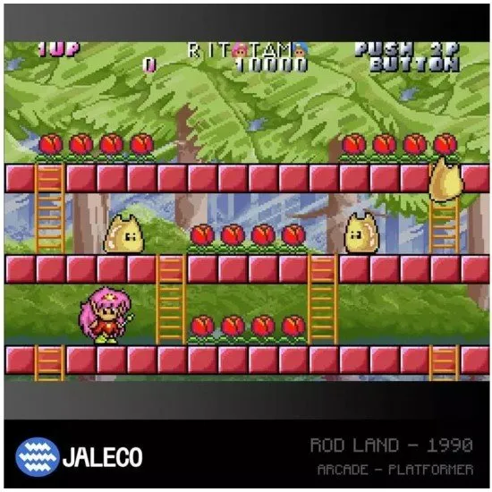 A physical Evercade cartridge and its retail box showing the Jaleco Arcade 1 logo alongside retro gameplay artwork