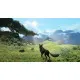 A PlayStation 5 game case depicting a parrot soaring over a massive canyon river while a wolf looks down from a rocky cliff edge bordered by glowing ancient carvings