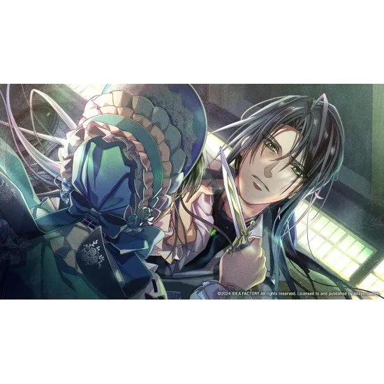 Mistonia's Hope The Lost Delight Switch The box art for the game Mistonia's Hope: The Lost Delight on Nintendo Switch, showing the heroine Aprose with several male characters in a fantasy setting.