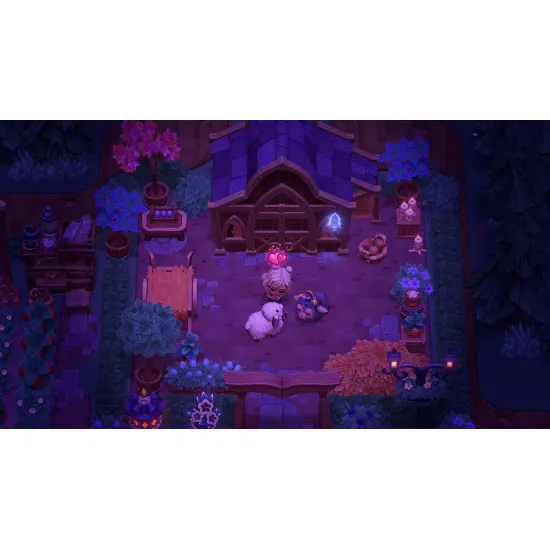 A Nintendo Switch 2 game case showcasing a cute anime style vampire character tending to a glowing purple pumpkin patch outside a haunted Victorian cottage under a starry night sky