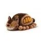 My Neighbor Totoro Catbus Plush Sun Arrow Studio Ghibli 20cm My Neighbor Totoro Catbus Plush Soft Toy, showing the iconic smiling, multi-legged bus creature