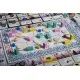 Pax Pamir Second Edition board game box showing cloth map and resin pieces