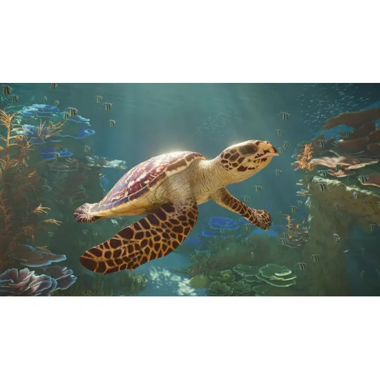 Xbox Series X game case for Planet Zoo 2 showing diverse animal species including birds, sharks, and land mammals
