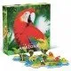 Life of The Amazonia Board Game The box art for the "Life of The Amazonia" board game, showing toucans and other animals in a lush rainforest scene.
