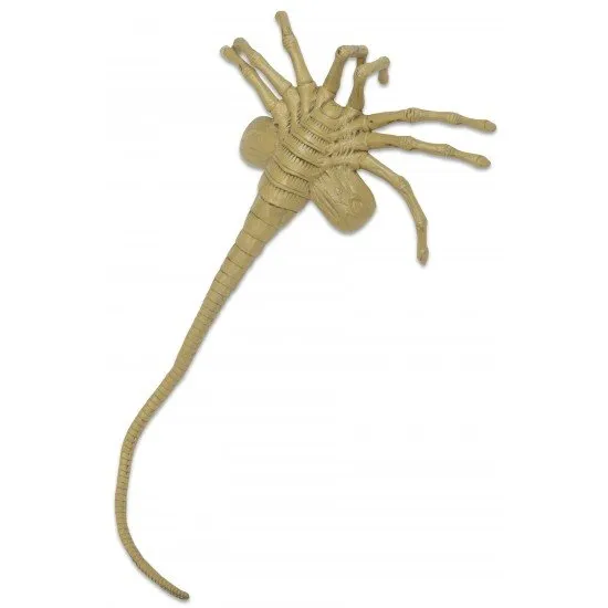 A detailed, lifelike foam prop replica of a Facehugger from the movie Aliens, posed as if ready to attack.