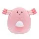 An official Pokémon Chansey Squishmallows plush toy, shown in its signature ultra-soft, squeezable form.