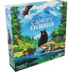Canopy Evergreen