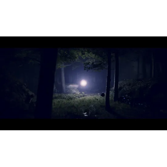 A PlayStation 5 game case depicting a lone wooden cabin glowing faintly under a dense canopy of dark Appalachian pine trees while a surreal dreamscape sky swirls above