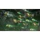 A Nintendo Switch game case displaying the dramatic combat of human space fighters and giant biomechanical alien monsters in deep space