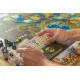 Scythe Modular Board
