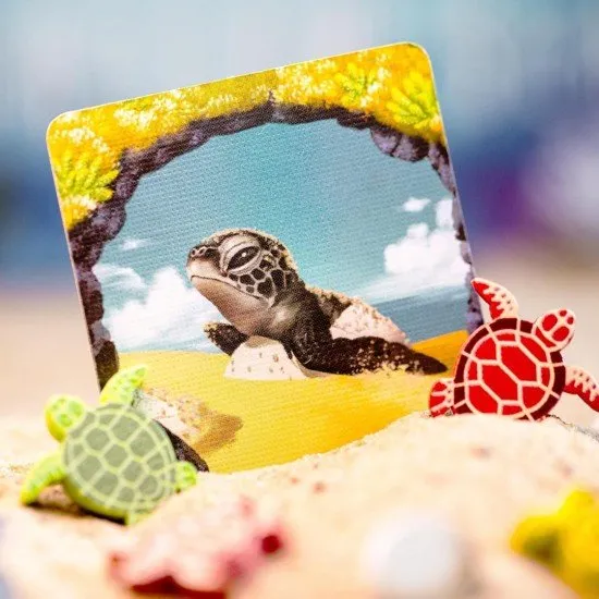 New turtle tokens and coral tiles from the Nesting Season expansion being added to the base game reef