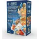 Shards of Creation Cosmere trick-taking card game inspired by Brandon Sanderson's fantasy universe
