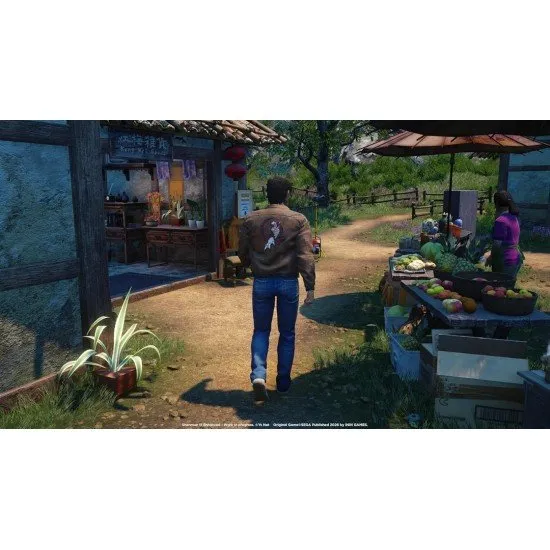 Ryo Hazuki practicing martial arts in a scenic Chinese village at sunset with mountains in the background