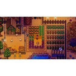 Stardew Valley (Switch Used)