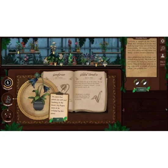 Switch case art featuring a botanical desk and a shelf of arcane artefacts in the town of Undermere
