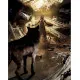 Werewolf The Apocalypse 5th Edition The Coming Destruction starter chronicle book cover featuring World of Darkness Garou artwork